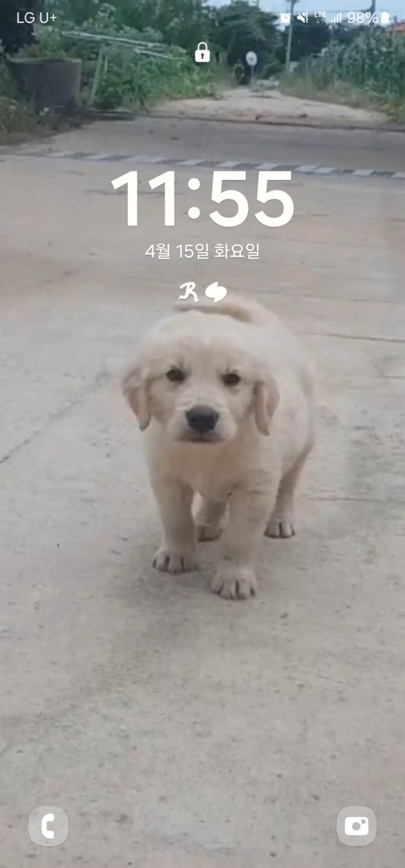 없음 이미지