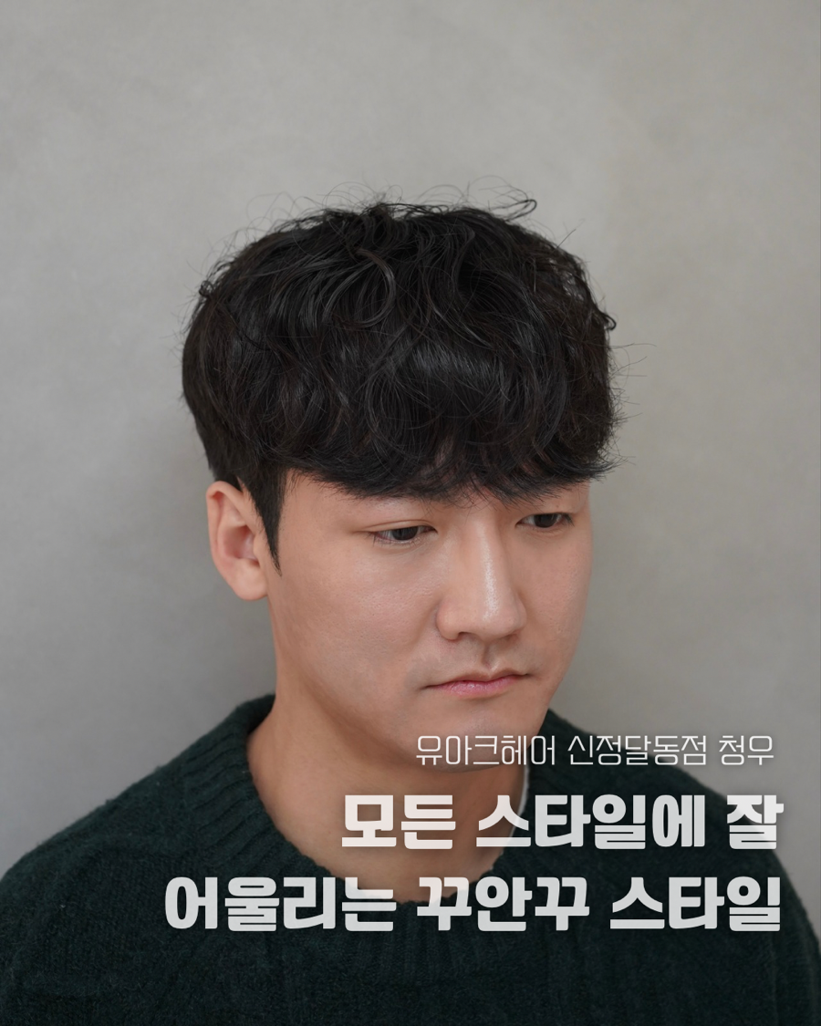신정수석 이미지