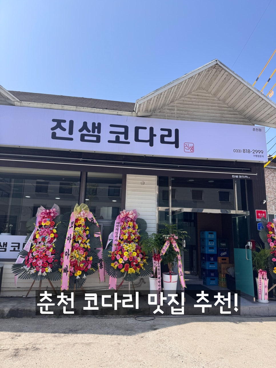 진샘코다리 이미지
