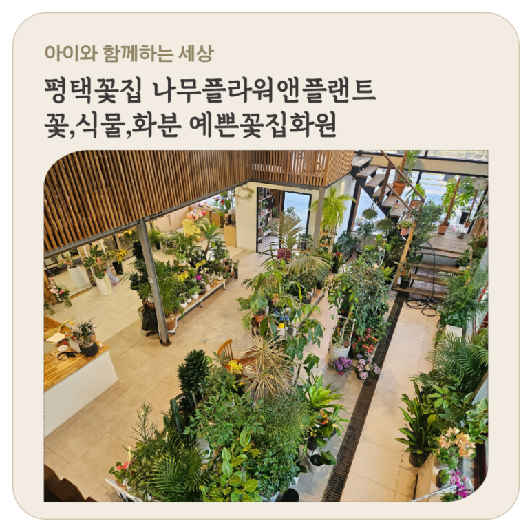 나무플라워앤플랜트 이미지