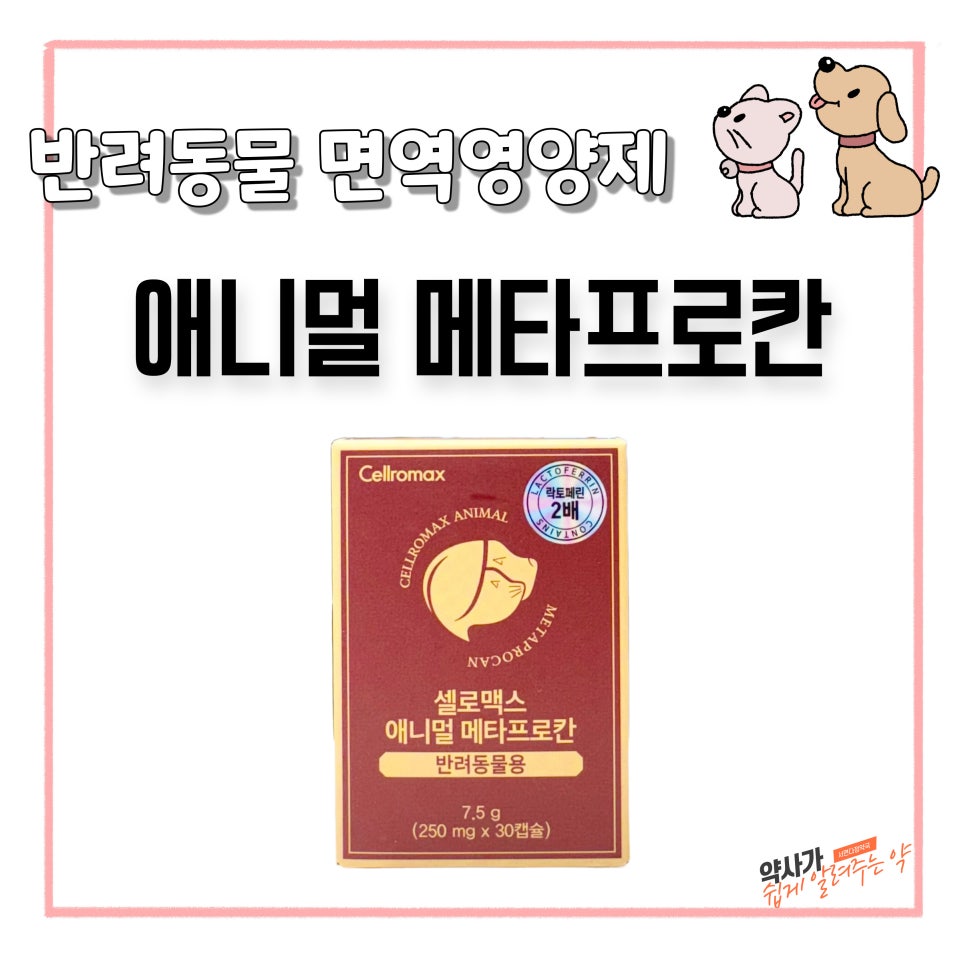 서면다정약국 이미지