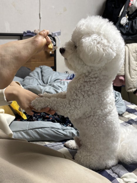 (주)여행해봄 이미지