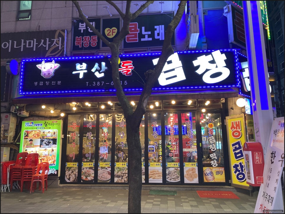 생곱창집 이미지