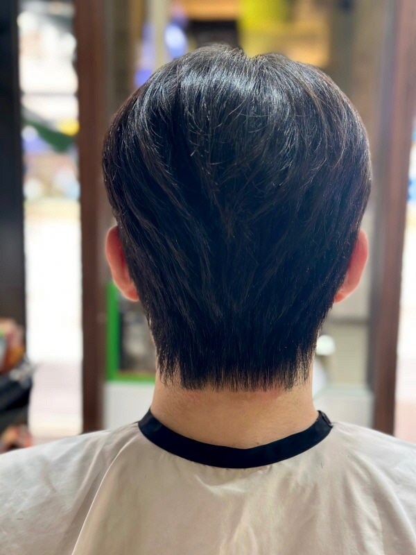다헤어 이미지
