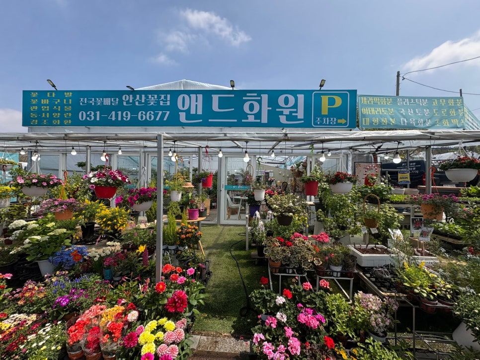 화원꽃마을 이미지