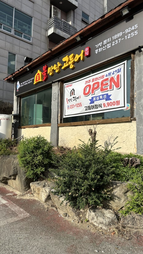 불만난고등어 이미지