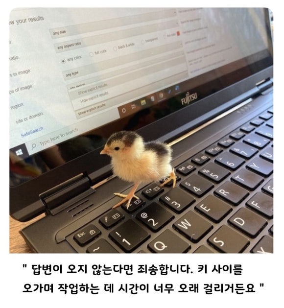 해라 이미지