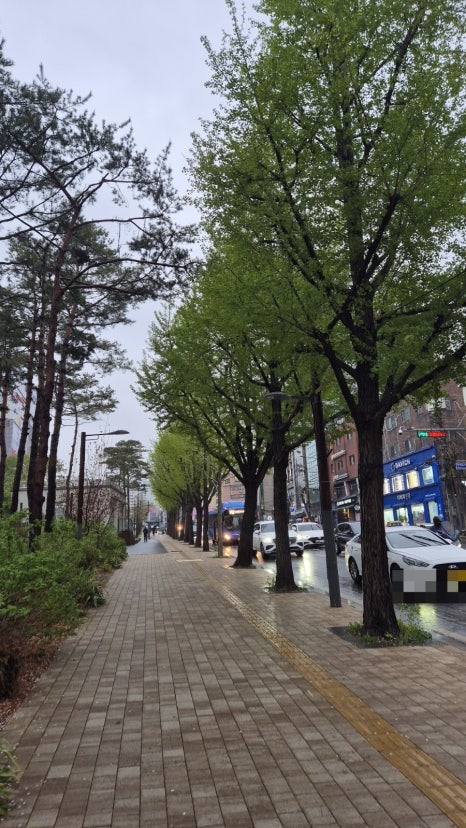 더스퀘어즈 이미지