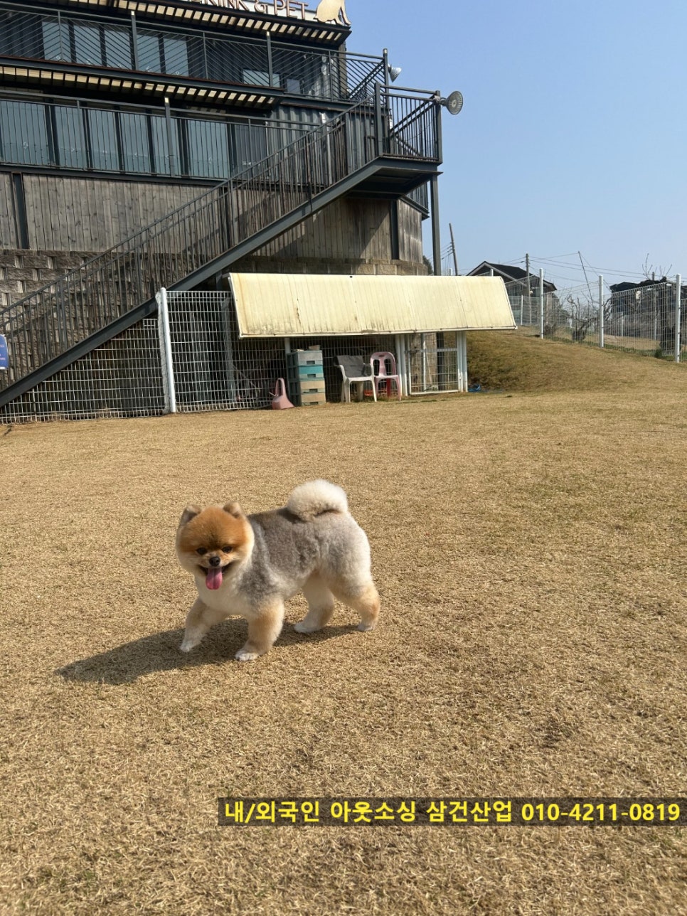 간식카페참 이미지