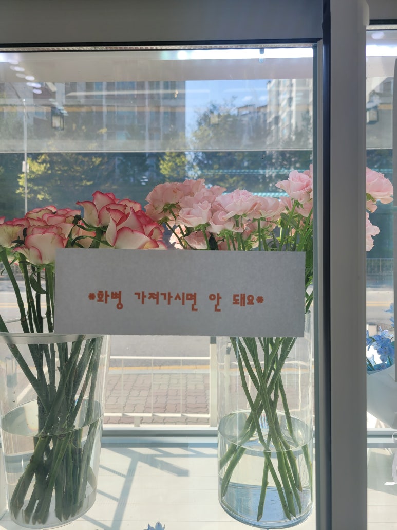 다예플레르 이미지