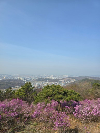 가현산 헬기장 이미지