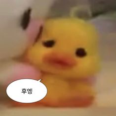 디자인.써 이미지