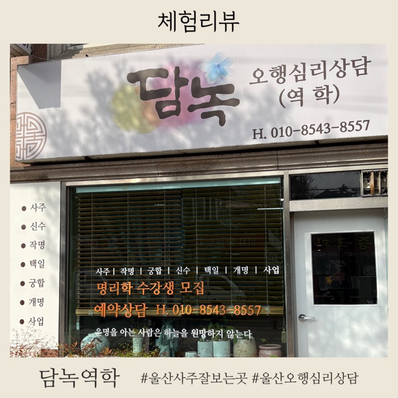 담녹 이미지