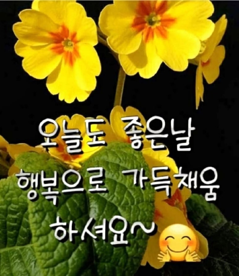 관악정육점 이미지