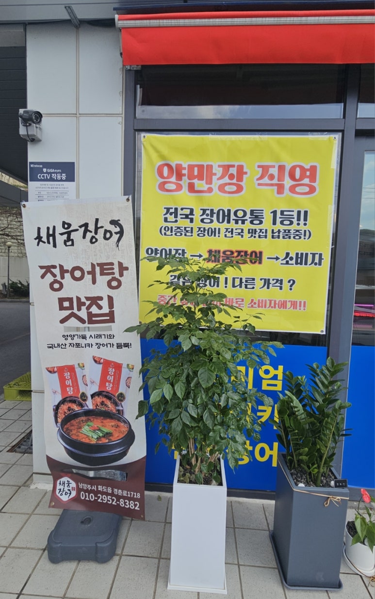 채움장어 이미지