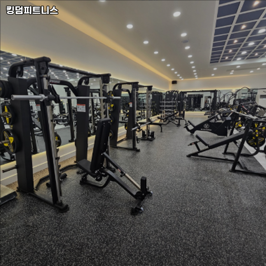 킹덤피트니스 이미지
