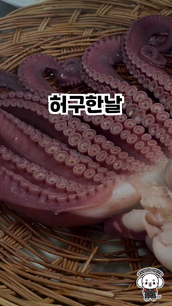 허구한날 이미지