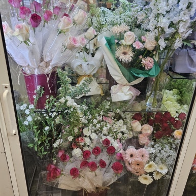 플레르블랑쉐 이미지