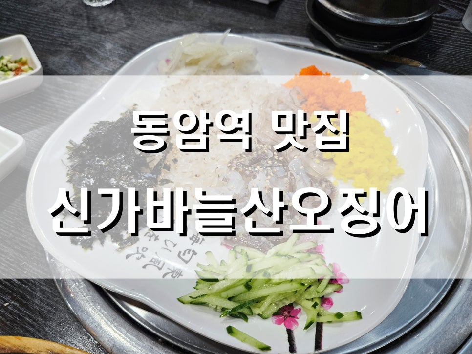신가바늘산오징어 이미지