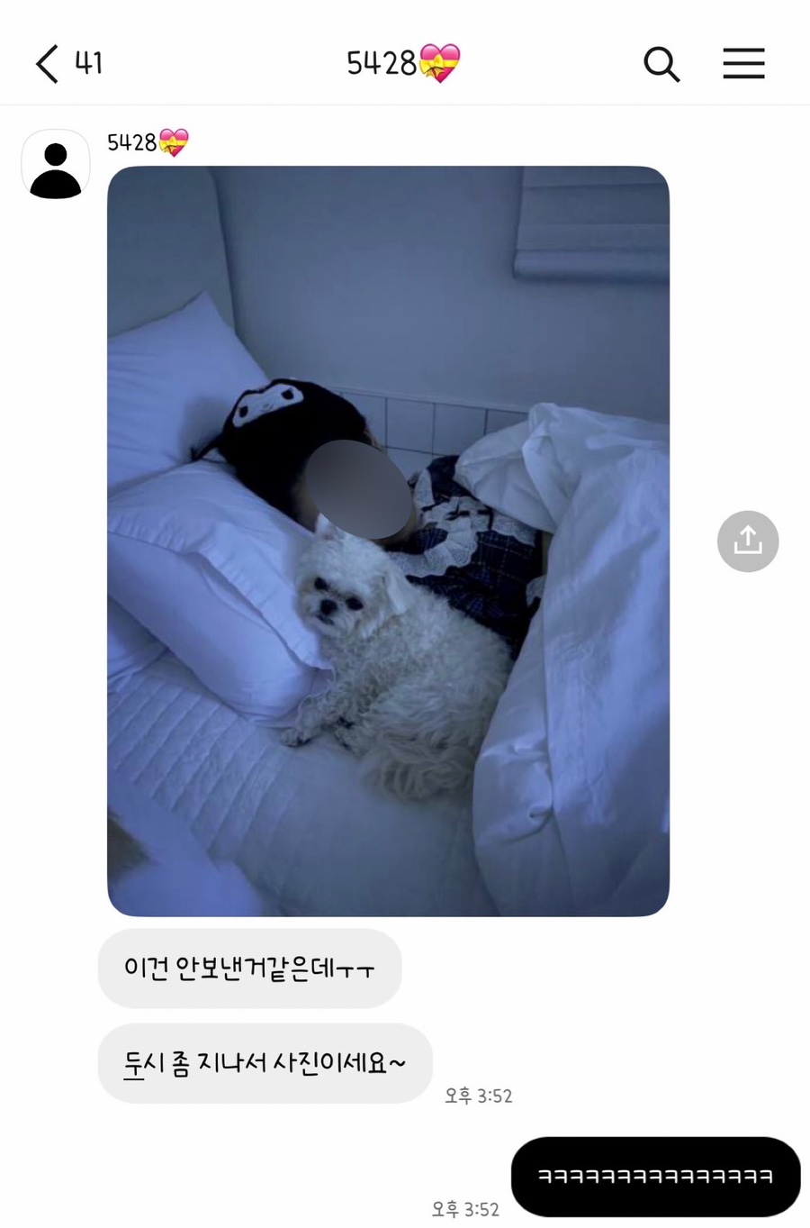 바비애견풀빌라 이미지