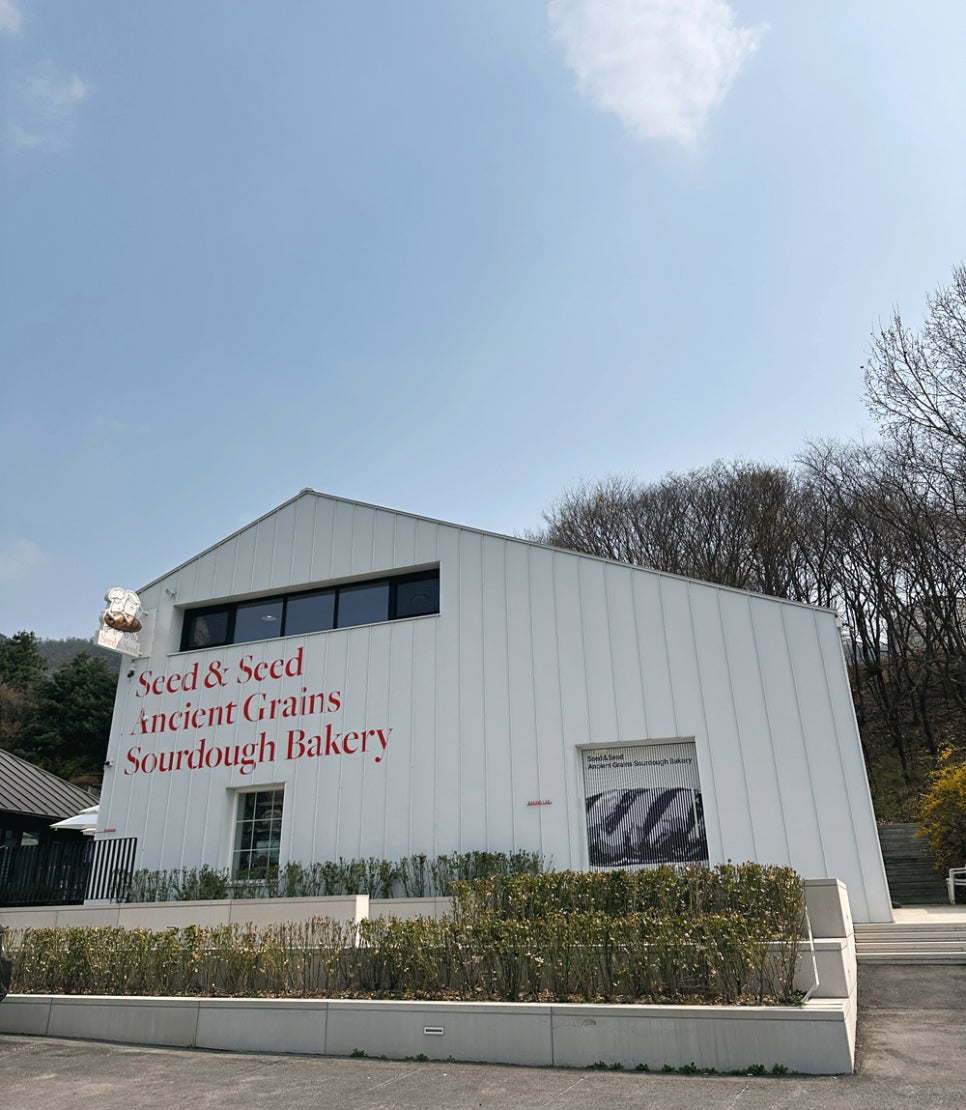 씨드앤씨드 베이커리 이미지
