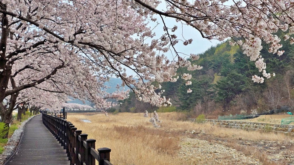 국립검봉산자연휴양림 이미지