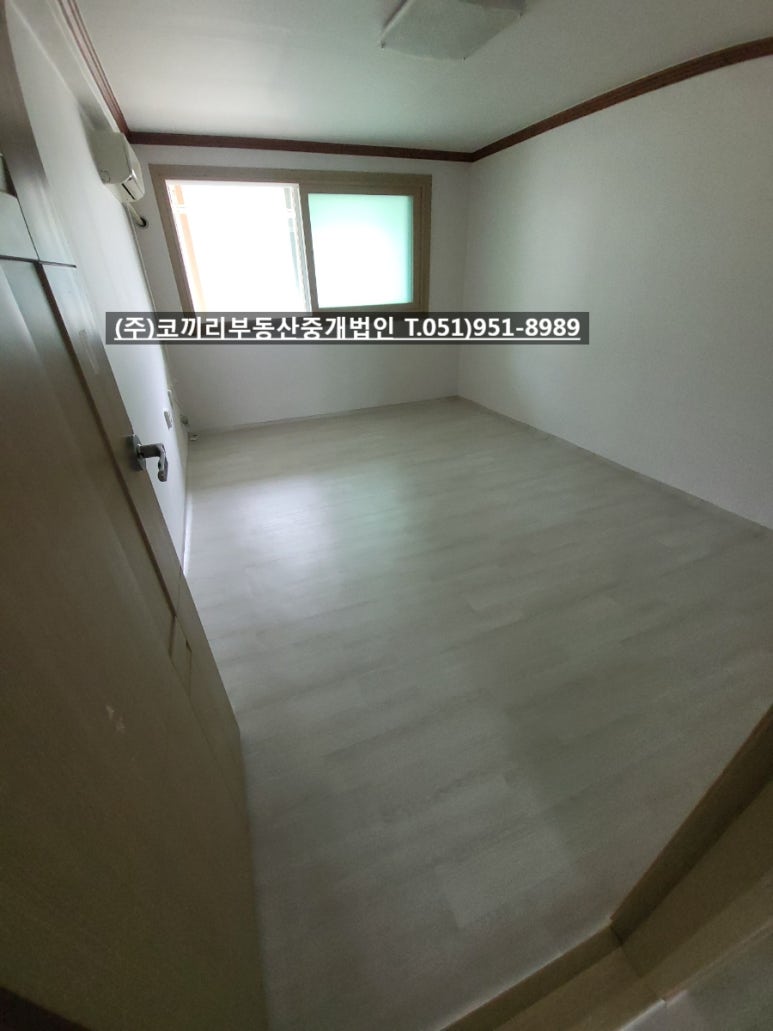 조양비취 이미지