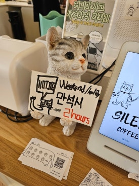 사일런트그레이 이미지