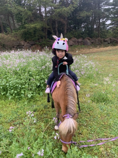초원승마클럽 이미지