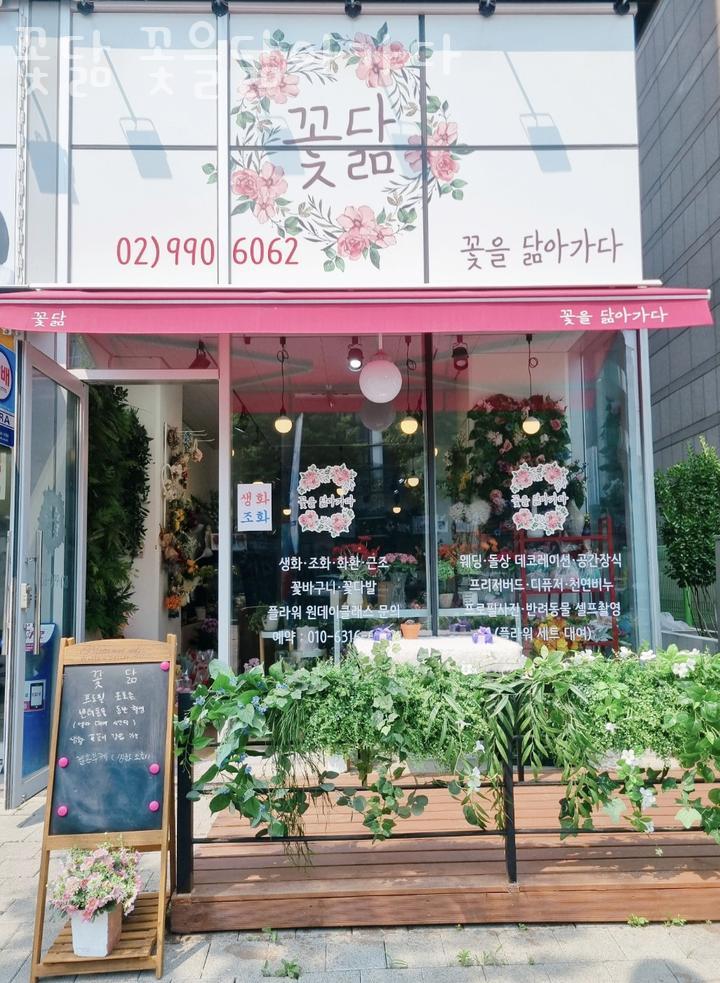 꽃닮 이미지