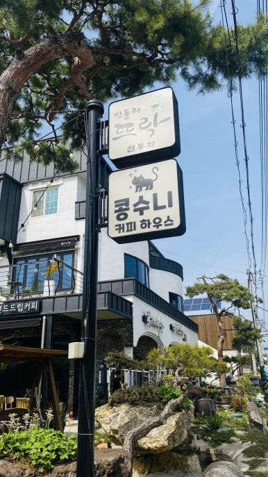콩수니커피하우스 이미지