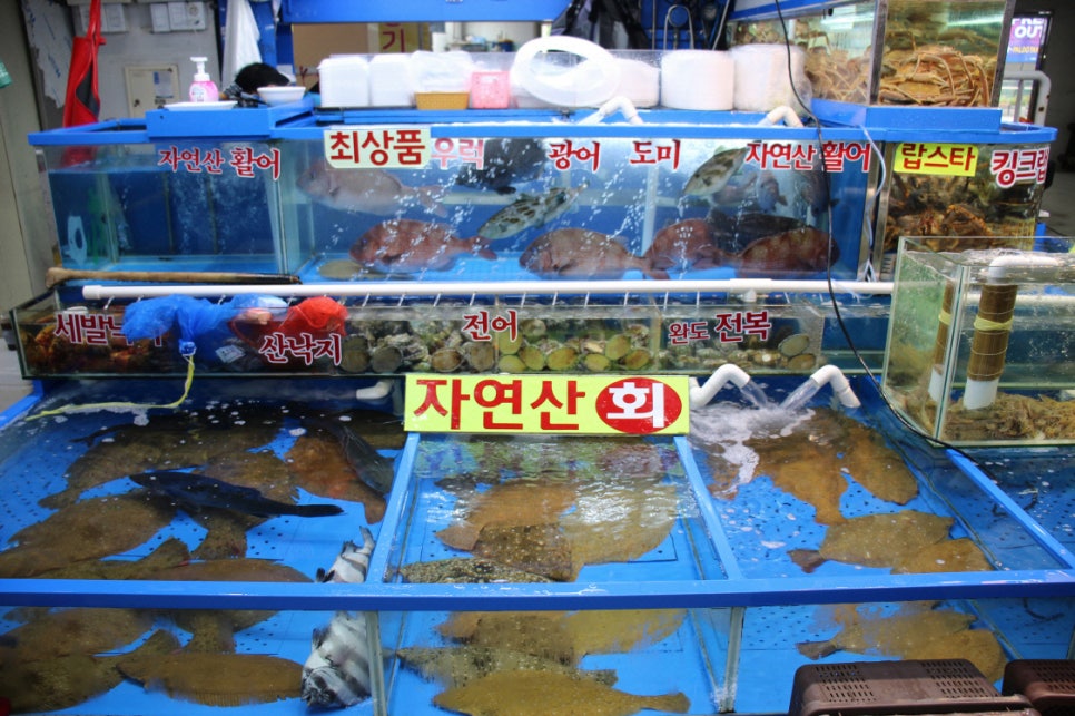 서울.회.대게 이미지