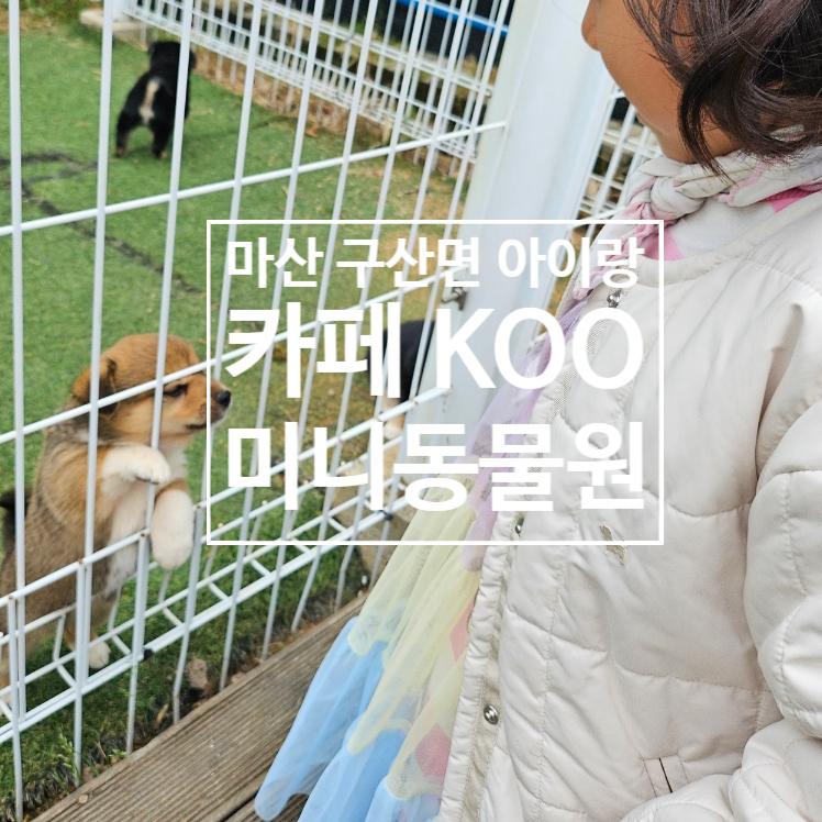 카페.koo 이미지