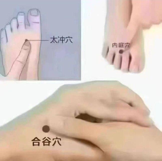 하얼빈테라피 이미지