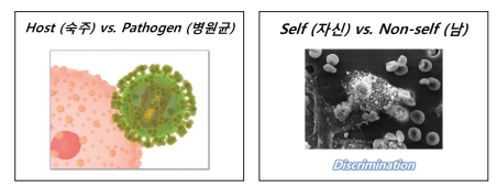 경암시스템 이미지