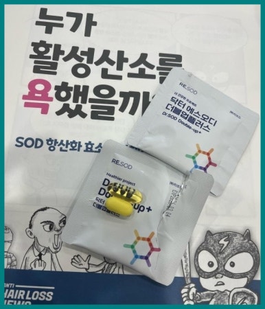 에스글로벌 이미지