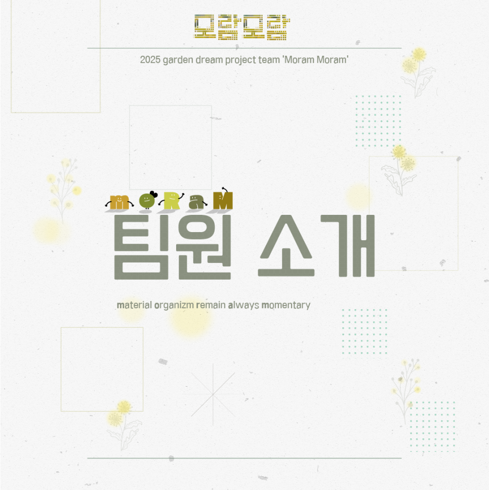 모람모람 이미지