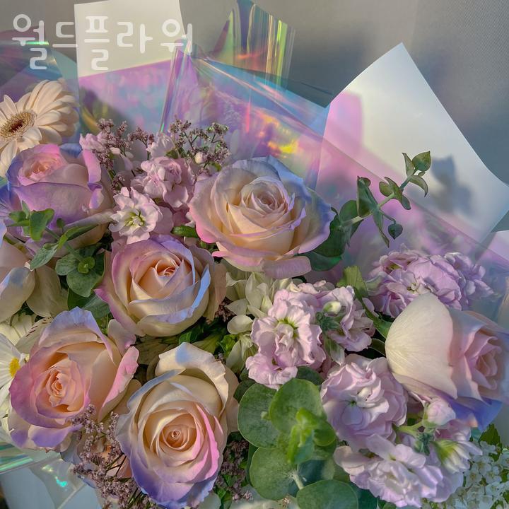 월드플라워 이미지