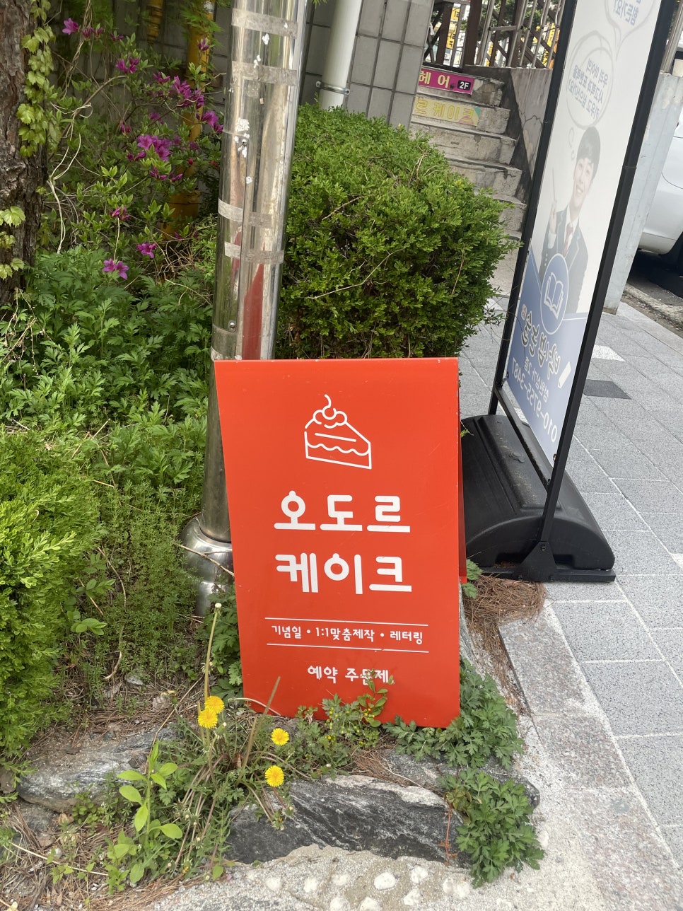 오도르케이크 이미지