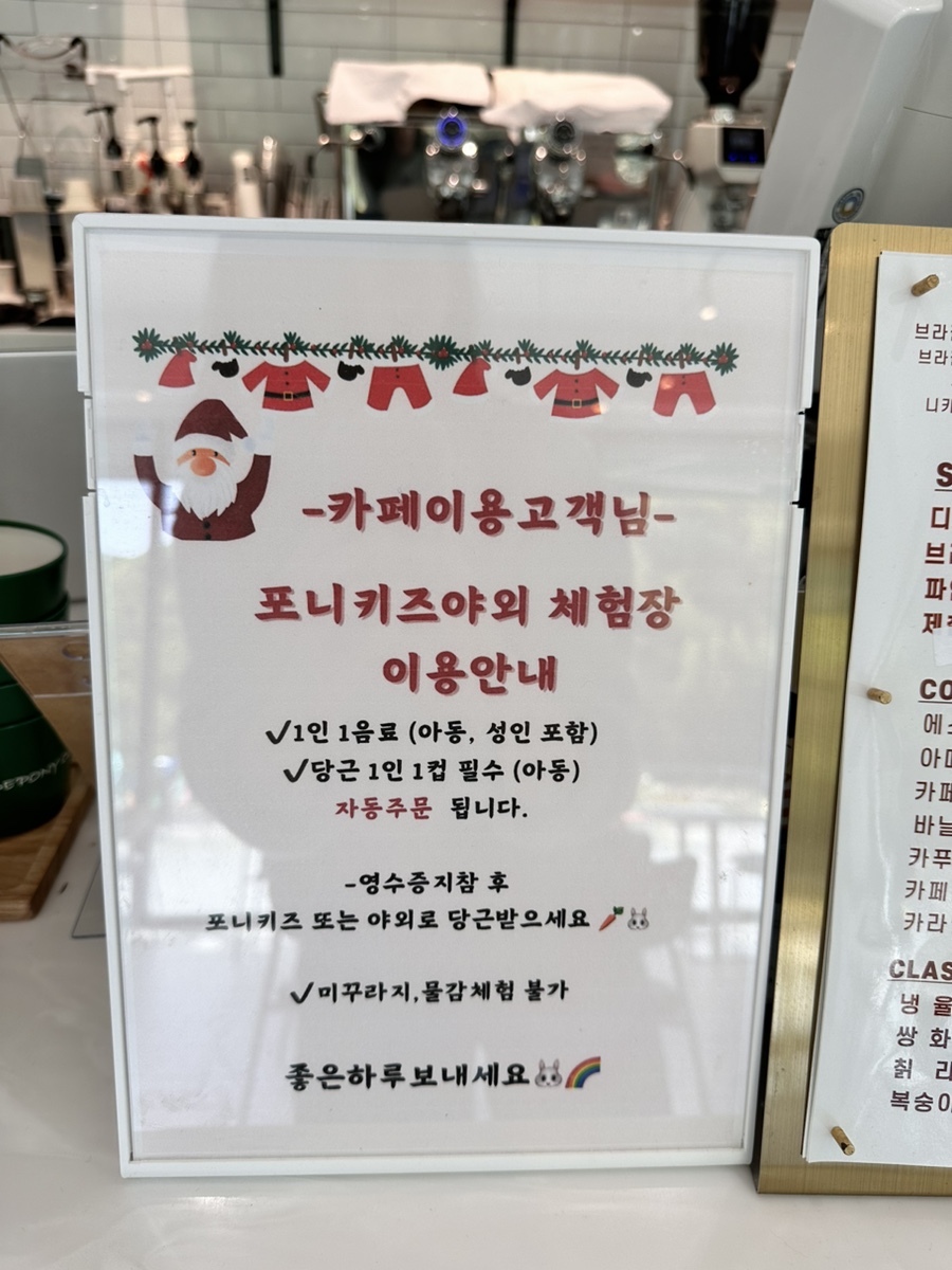 디포니 이미지
