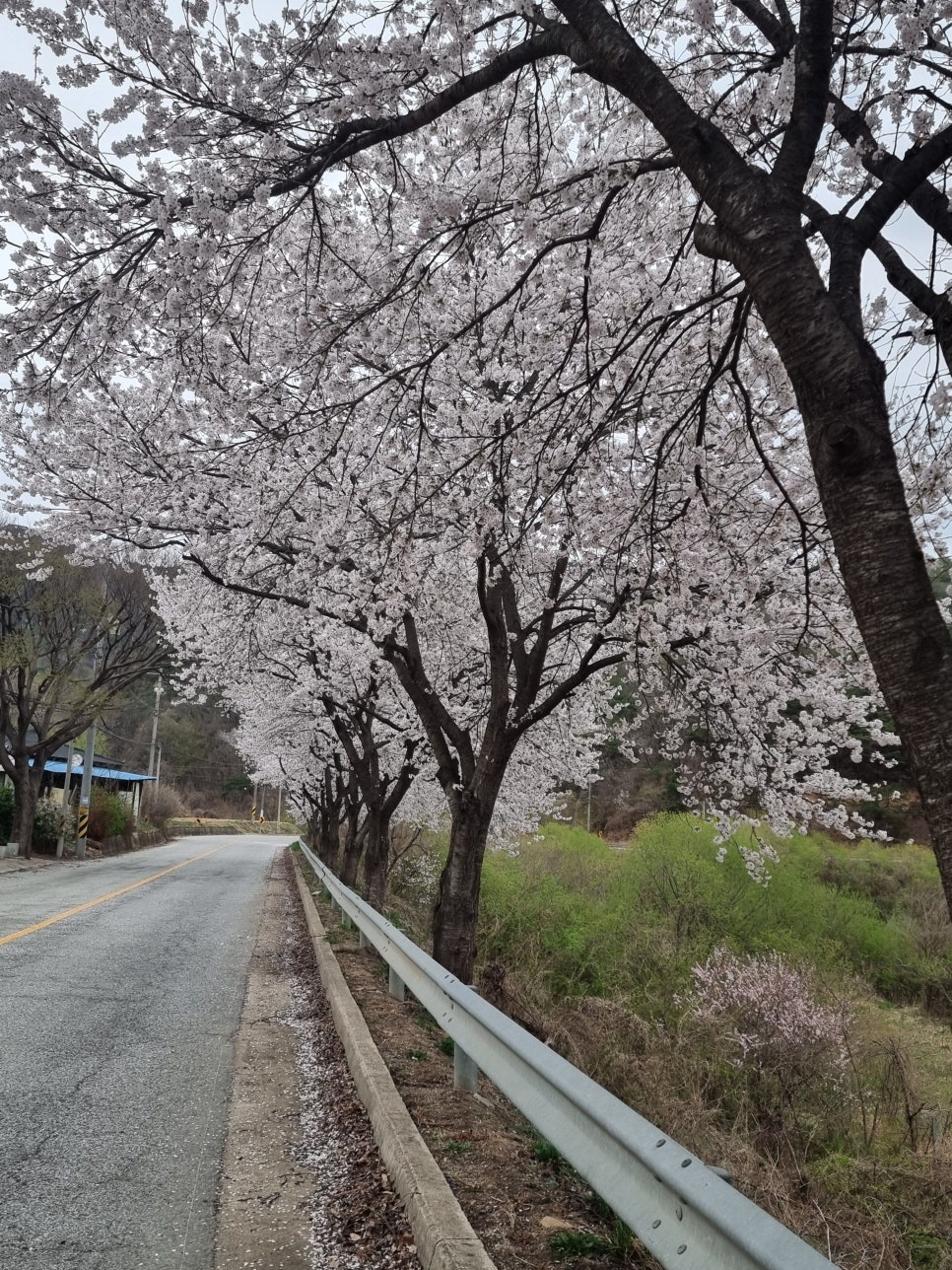 자연 속 점핑다이어트 이미지