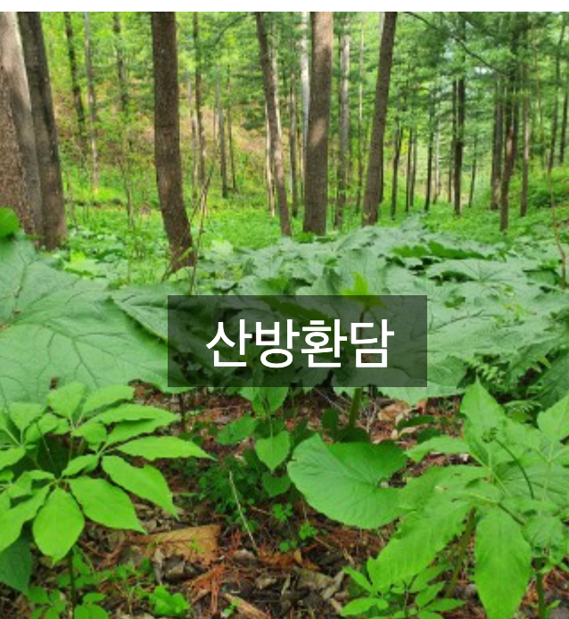 산방환담 이미지
