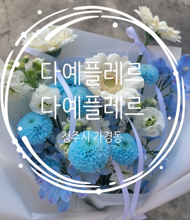 다예플레르 이미지