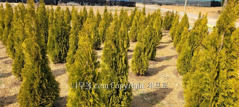 (주)서산그린 이미지