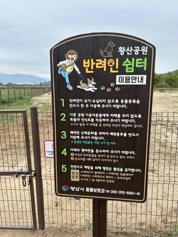 황산애견 이미지