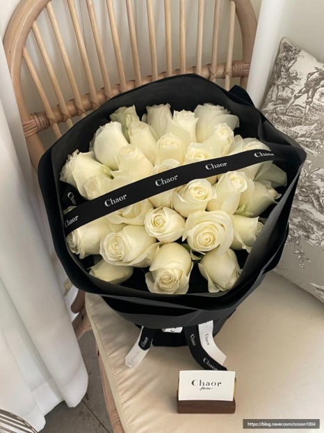 오르디자인 이미지