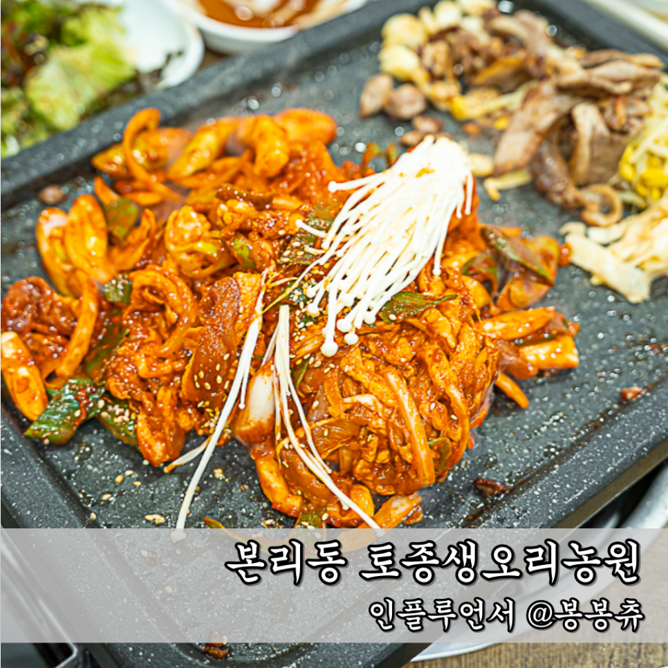 토종생오리농원 이미지
