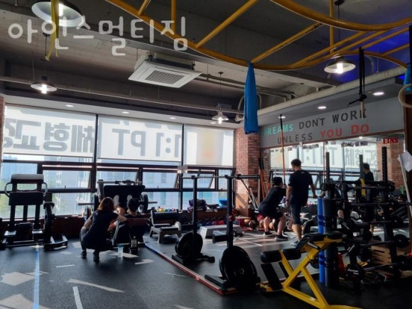 아인스 이미지