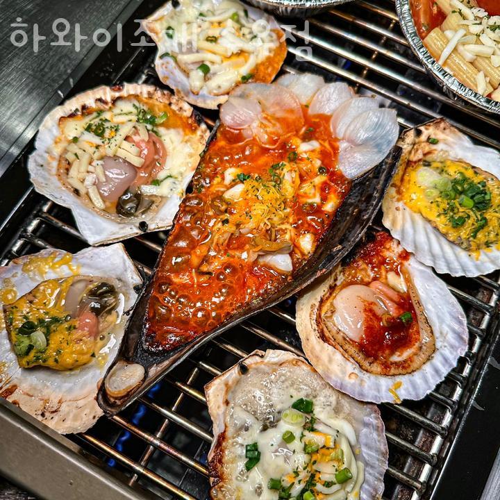 하와이조개 이미지