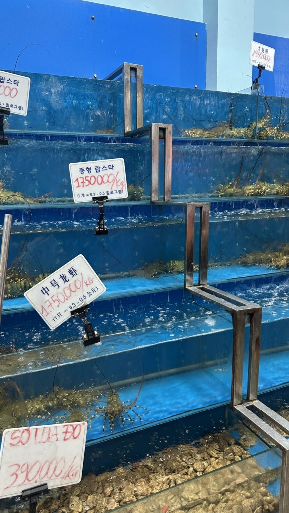 마담키친 이미지